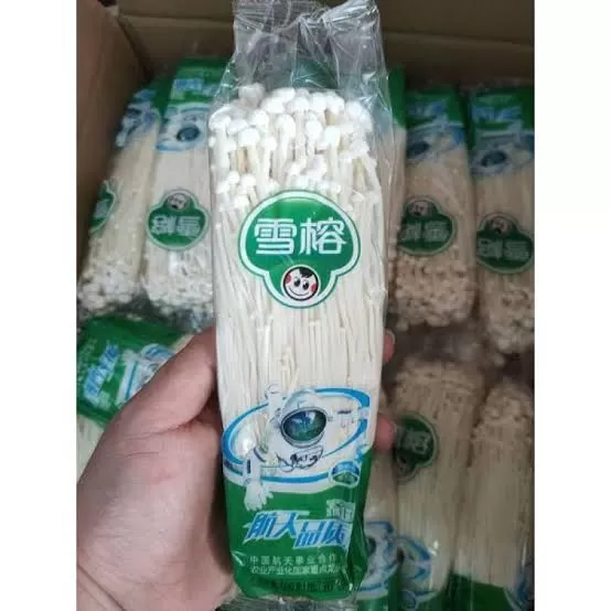 jamur enoki